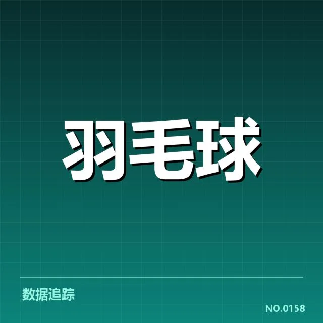 赛场判罚争议：中国羽毛球队执法公正性疑问
